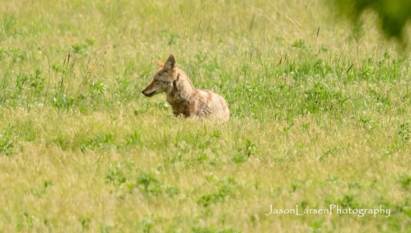 20170514DSC_6494