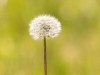 20260620-_DSC7550