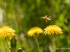 20260620-_DSC7557