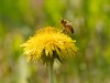 20260620-_DSC7561