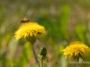 20260620-_DSC7562
