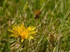 20260620-_DSC7573