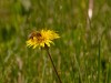 20260620-_DSC7574