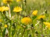 20260620-_DSC7586