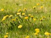 20260620-_DSC7587