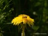 20260620-_DSC7601