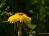 20260620-_DSC7603