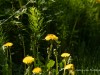 20260620-_DSC7604
