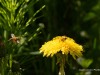 20260620-_DSC7605