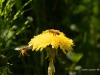 20260620-_DSC7606