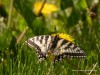 20260620-_DSC7613