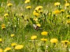 20260620-_DSC7615