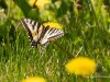 20260620-_DSC7616