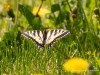 20260620-_DSC7622