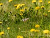 20260620-_DSC7644
