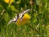 20260620-_DSC7647