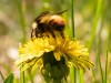 20260620-_DSC7655