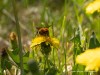 20260620-_DSC7658