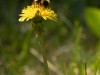 20260620-_DSC7659