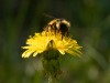 20260620-_DSC7660