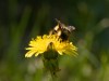 20260620-_DSC7662