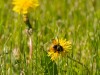 20260620-_DSC7672