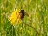 20260620-_DSC7677