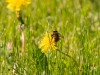20260620-_DSC7678