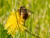 20260620-_DSC7679