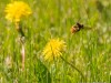 20260620-_DSC7681