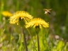 20260620-_DSC7682