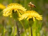 20260620-_DSC7683