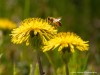 20260620-_DSC7684