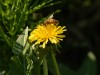 20260620-_DSC7693