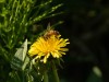20260620-_DSC7694