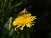 20260620-_DSC7695