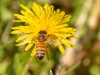 20260620-_DSC7703