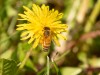 20260620-_DSC7706