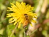 20260620-_DSC7709