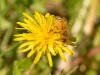 20260620-_DSC7716