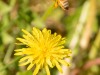 20260620-_DSC7718