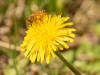 20260620-_DSC7728