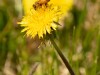 20260620-_DSC7740