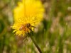 20260620-_DSC7746