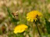 20260620-_DSC7781