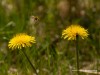 20260620-_DSC7792