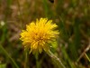 20260620-_DSC7798