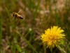 20260620-_DSC7799