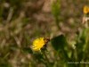 20260620-_DSC7800