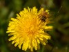20260620-_DSC7803